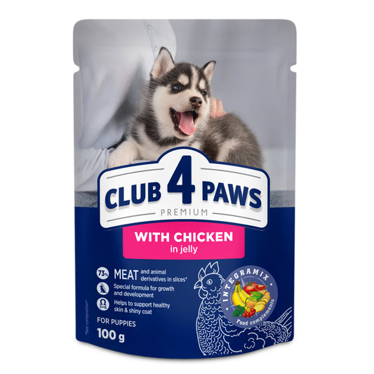CLUB 4 PAWS Premium visavertis konservuotas maistas šuniukams su vištiena drebučiuose, 100 g x 24 vnt